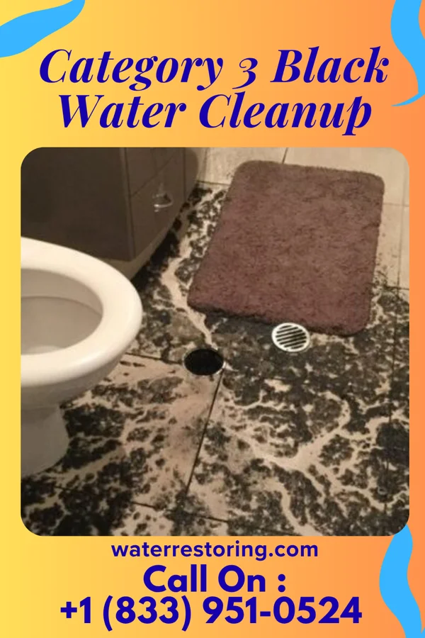 Category 3 Black Water Cleanup in Gambier, OH
