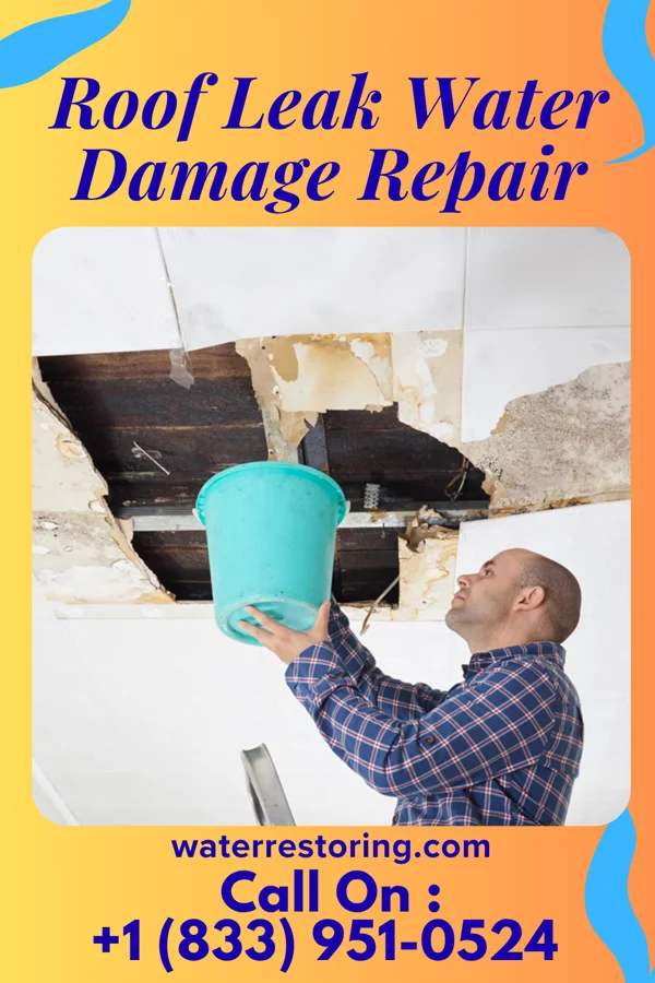 Roof Leak Water Damage Repair in Gambier, OH