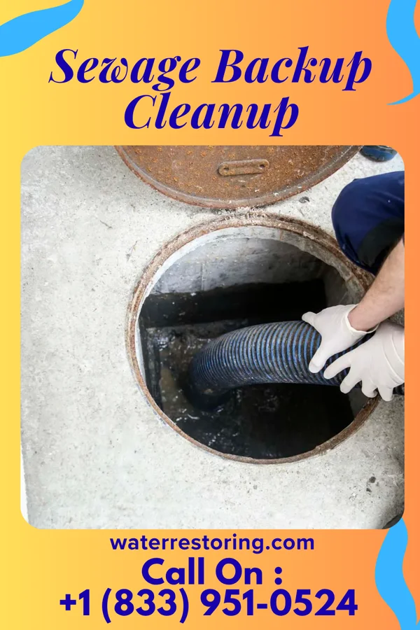Sewage Backup Cleanup in Gambier, OH