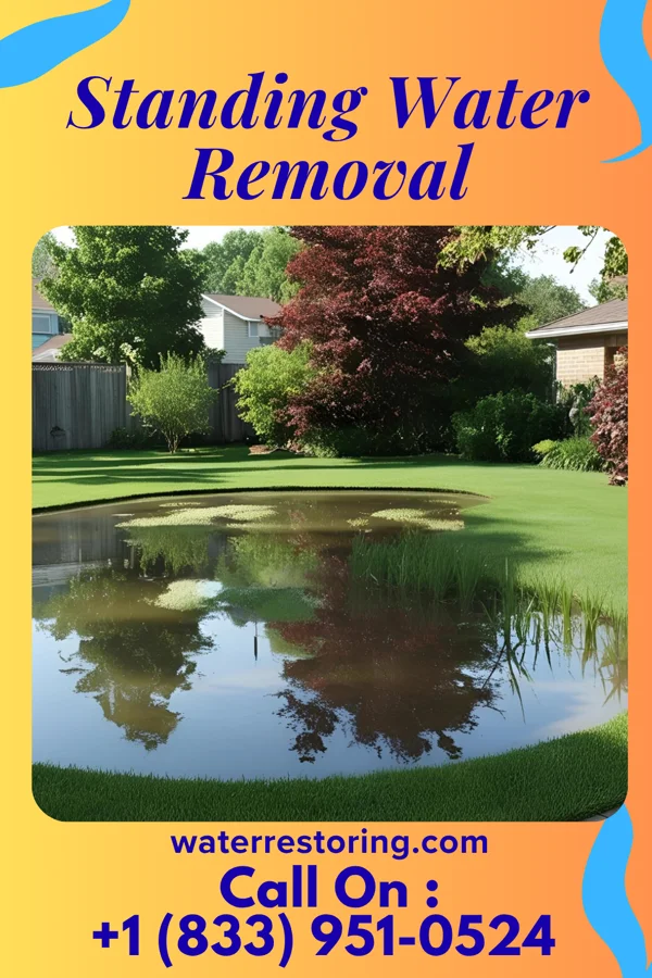 Standing Water Removal in Gambier, OH